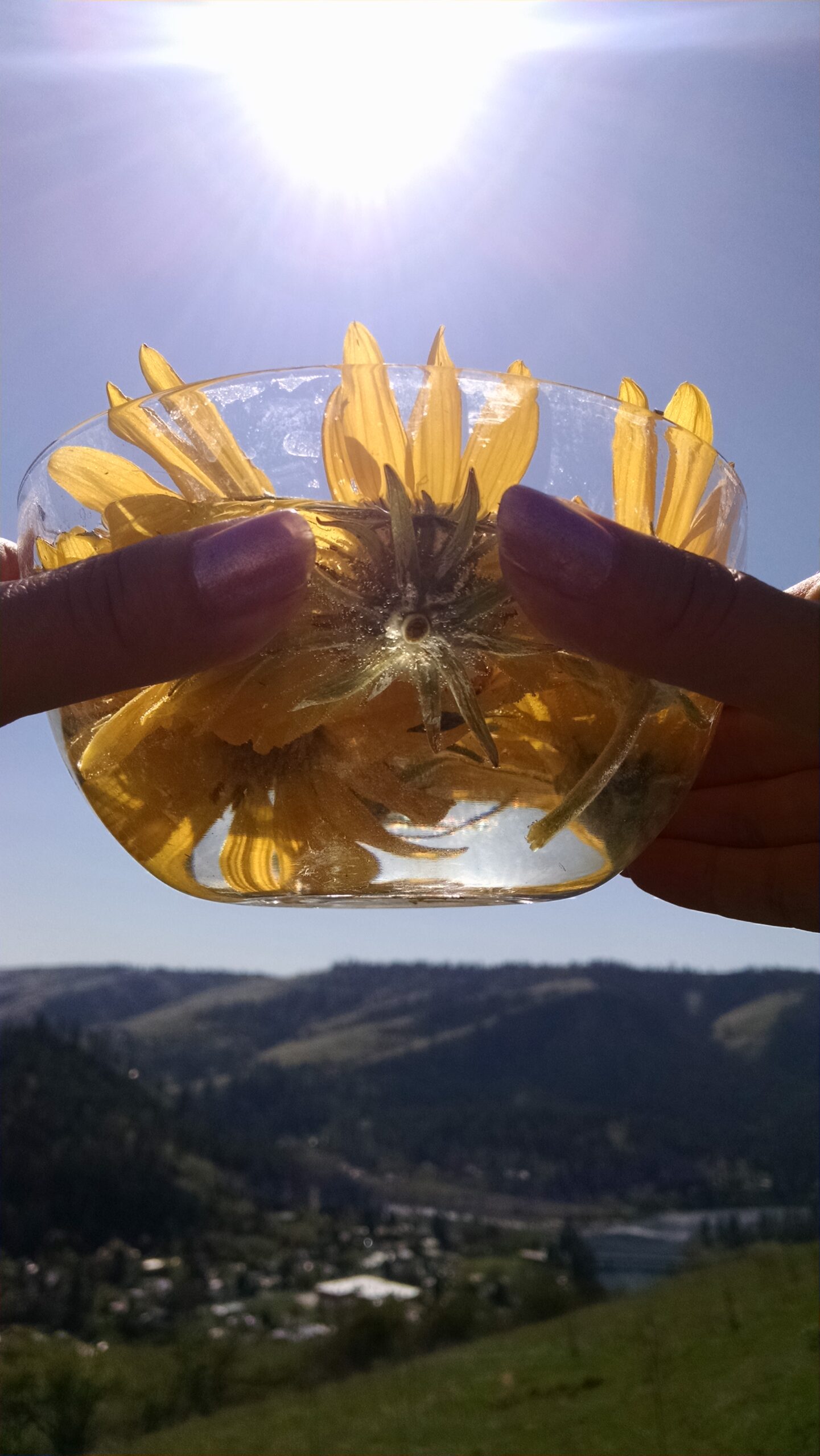 IMG_20150418_144033427