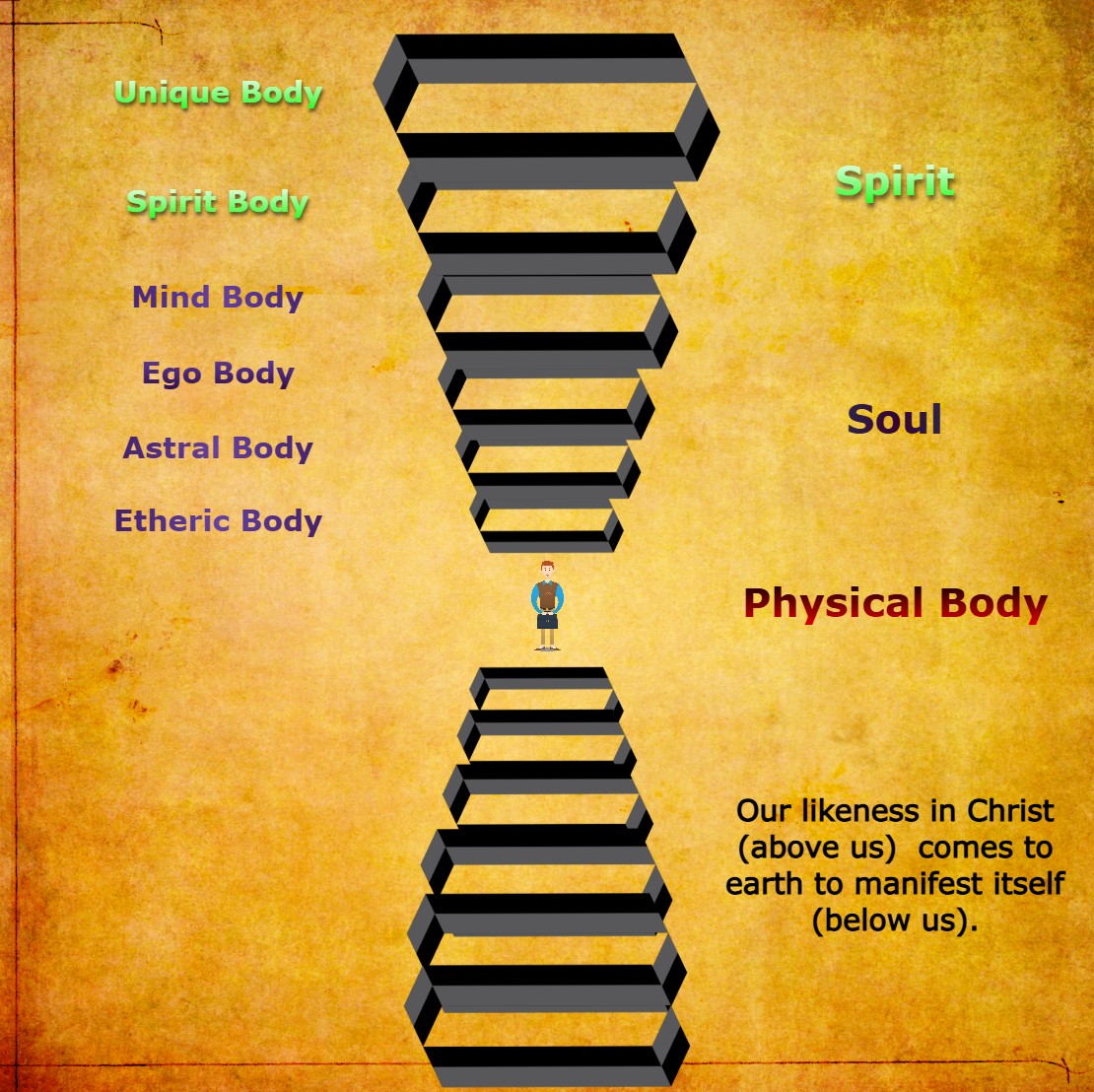 House of Light Body